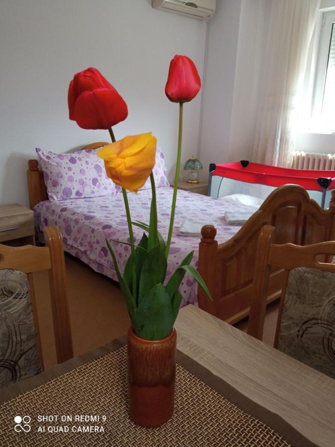 Apartman Andelina Vrnjacka Banja Ngoại thất bức ảnh