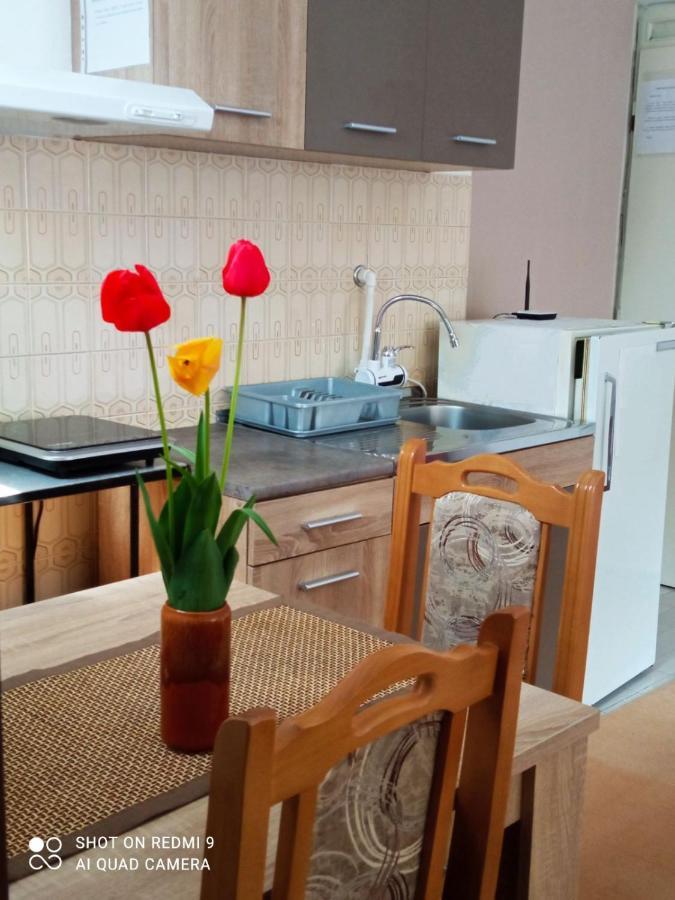 Apartman Andelina Vrnjacka Banja Ngoại thất bức ảnh